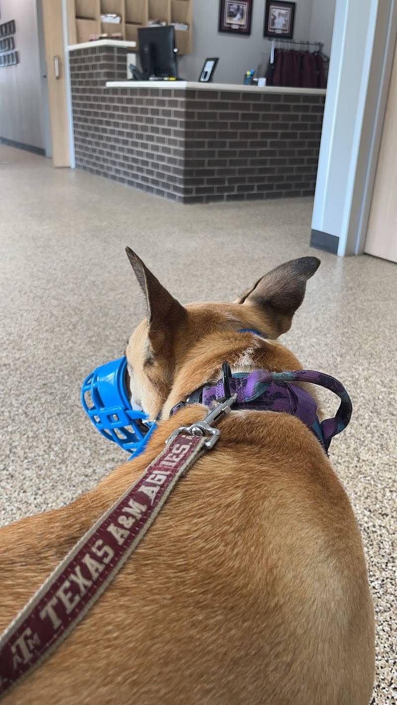 South 40 Veterinary Hospital