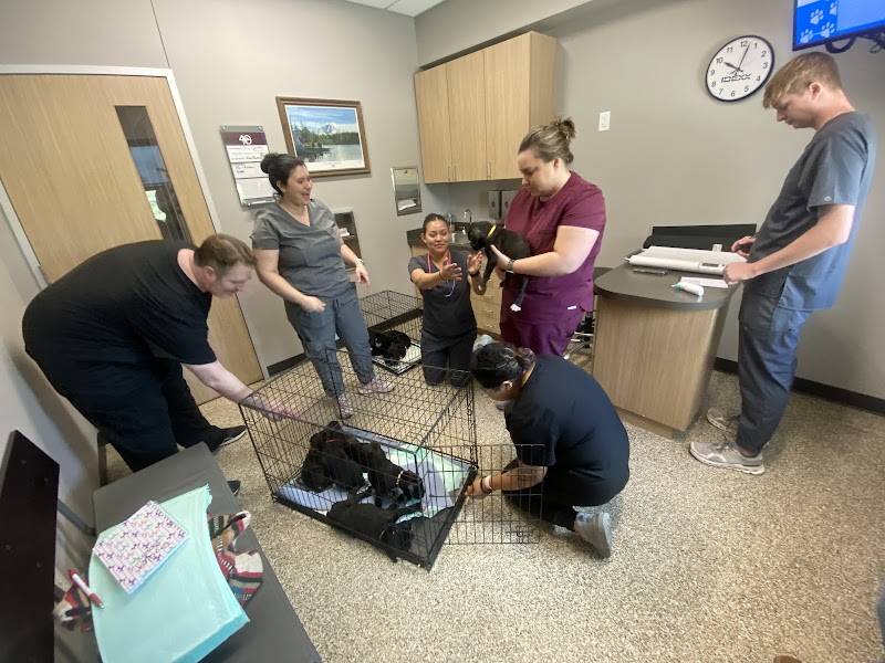 South 40 Veterinary Hospital